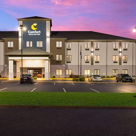 Comfort Inn & Suites Cave City Bagian luar foto