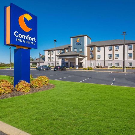 Comfort Inn & Suites Cave City Bagian luar foto