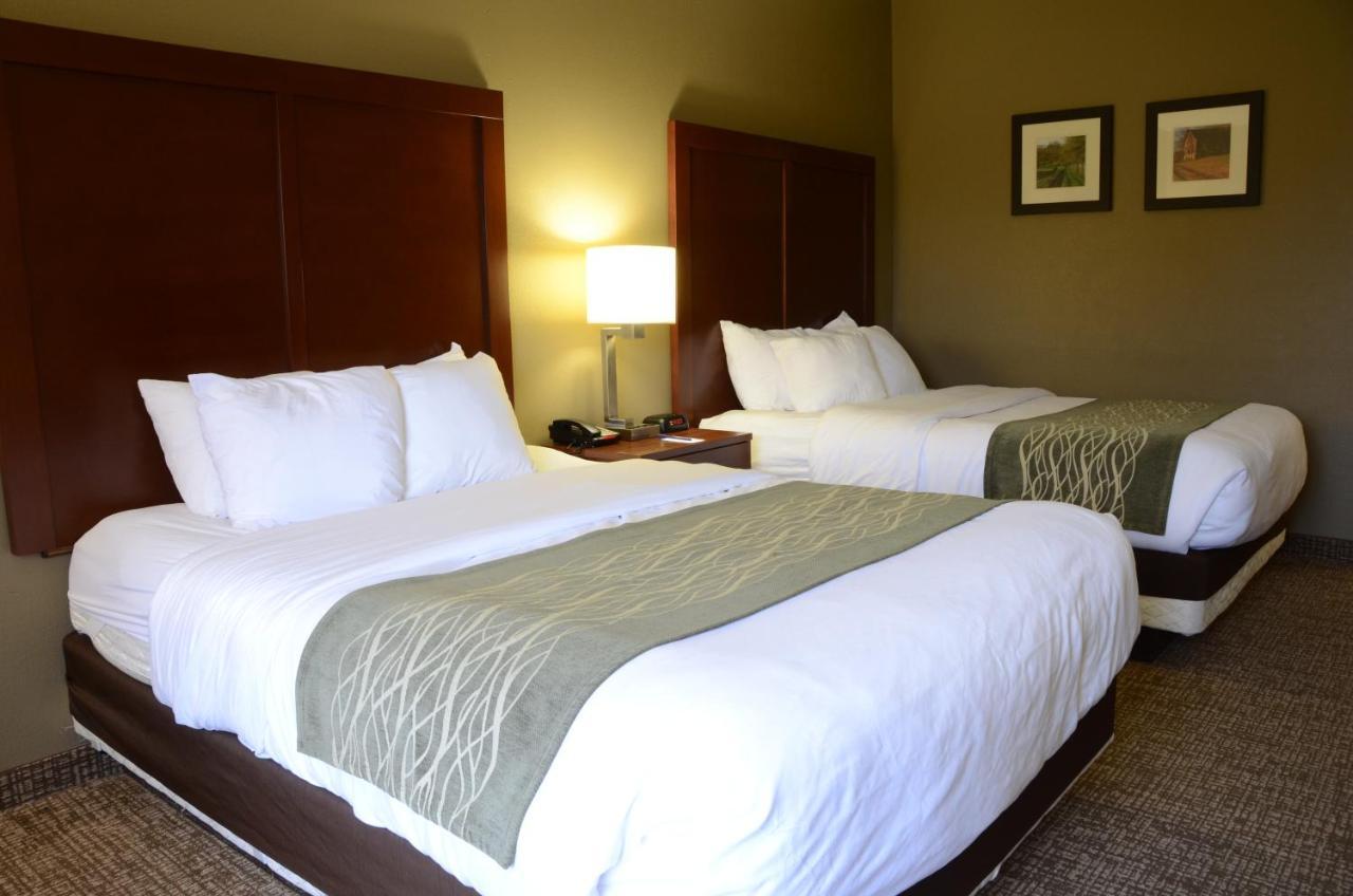 Comfort Inn & Suites Cave City Bagian luar foto