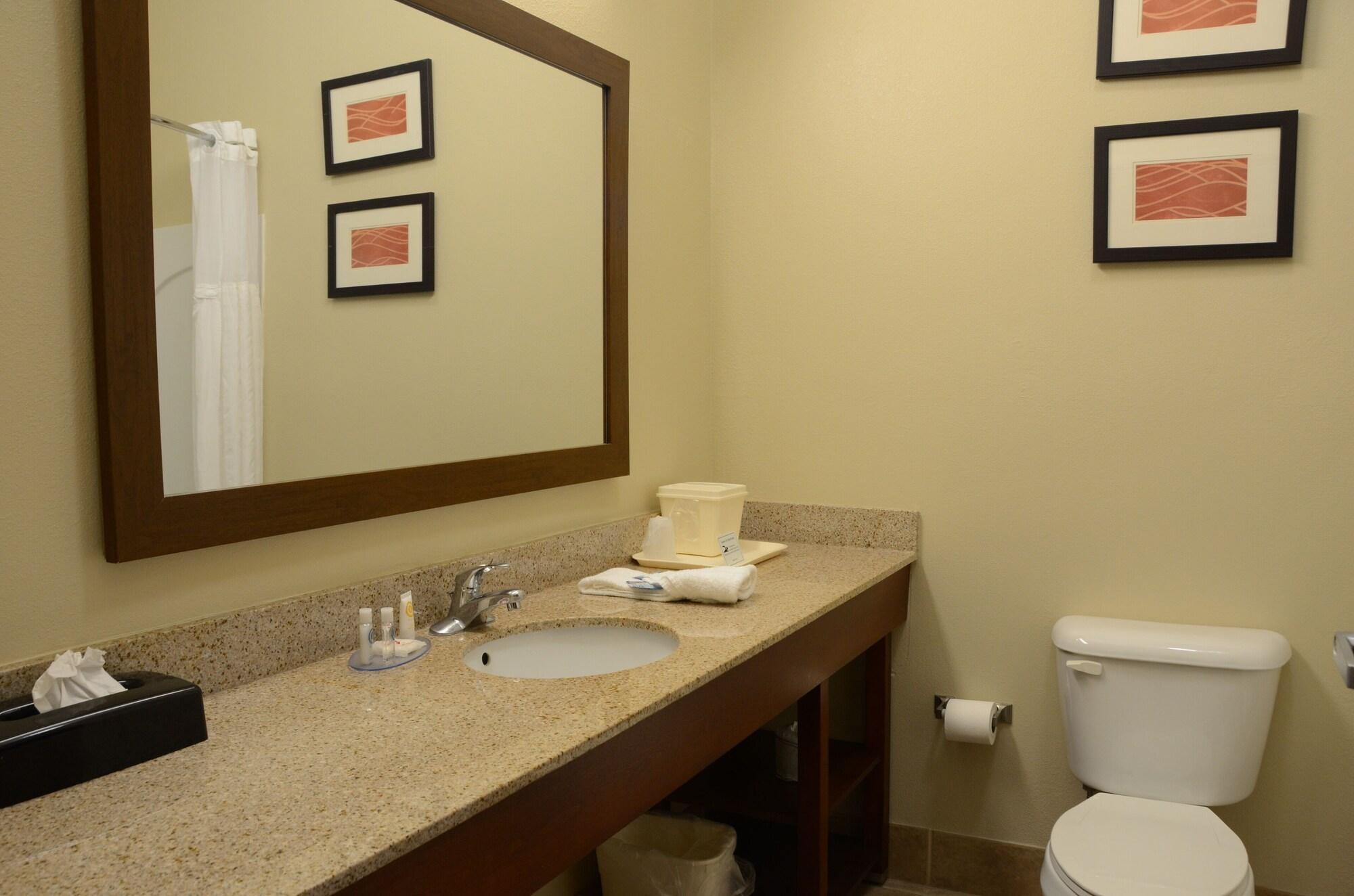 Comfort Inn & Suites Cave City Bagian luar foto