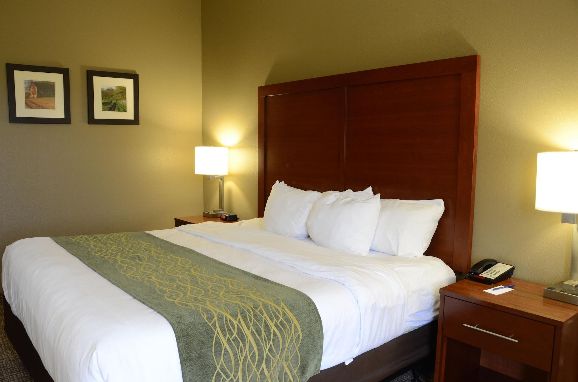 Comfort Inn & Suites Cave City Bagian luar foto